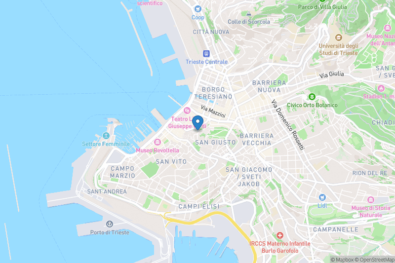 Istituto Venezia - Open Street Map